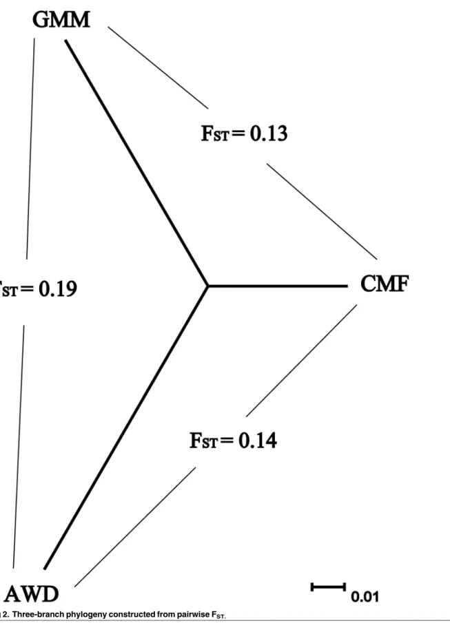 Fig 2. Three-branch phylogeny constructed from pairwise F ST.