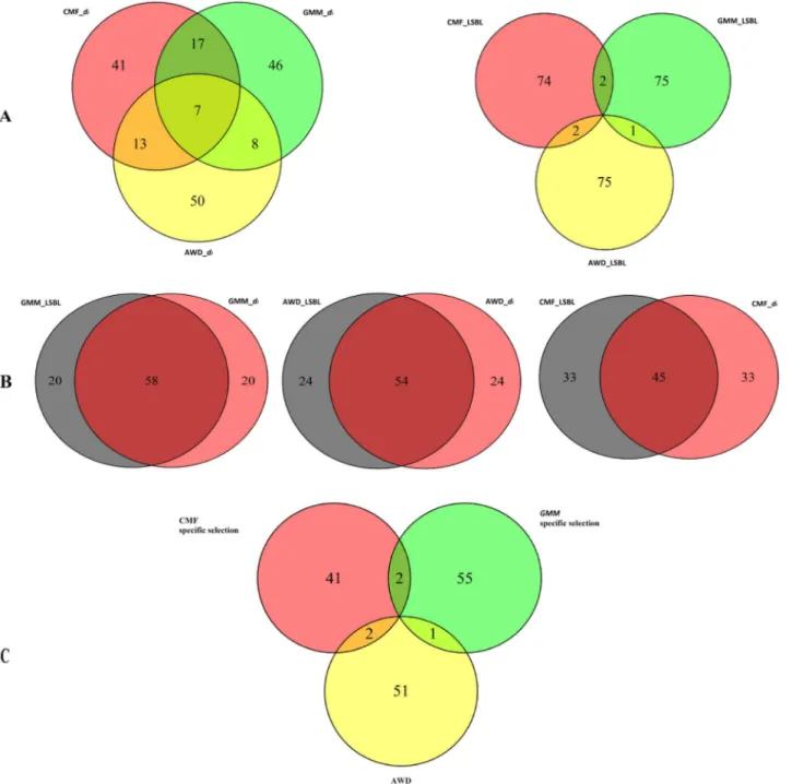 Fig 6 shows LSBL and d i values of-SNPs in five overlapping selection windows and in two nearby windows