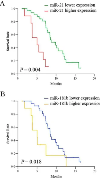 Figure 3. Kaplan-Meier overall survival curves of patients treated with S-1/Oxaliplatin and Doxifluridine/Oxaliplatin in association with miR-21 (A) and miR-181b (B).