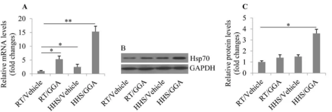 Fig. 4B). Levels of GSH, a common antioxidant, were also significantly reduced in the HHS group (p = 0.0266), but high levels of GSH were not lowered by GGA pretreatment in the HHS group (p = 0.913).