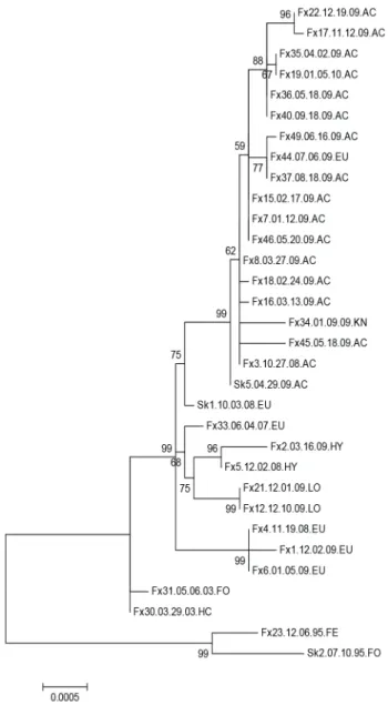 Figure 1. Phylogram generated from genomic sequences of Humboldt Co. skunk variant rabies samples collected between 1995–2010