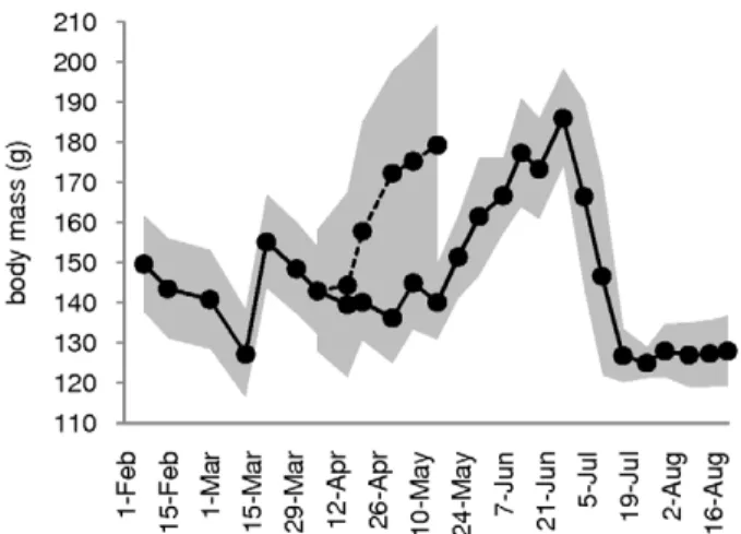 Table 1. Significant differences in migratory state and constitutive immunity in red knots inoculated with highly pathogenic avian influenza virus (HPAIV) H5N1.