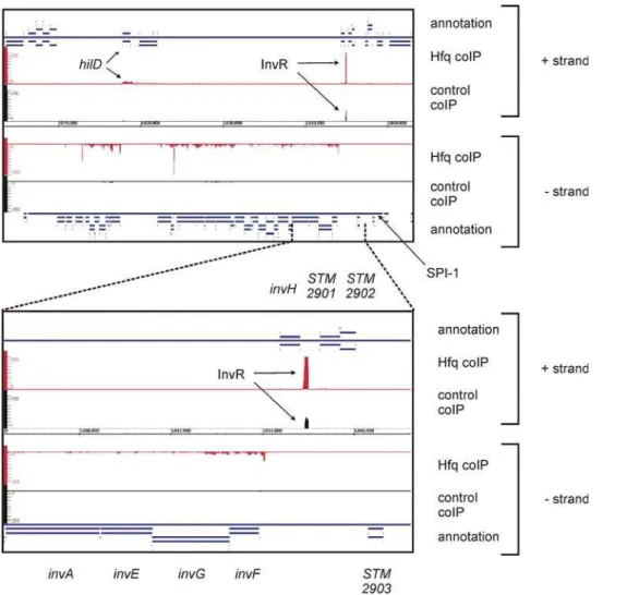 Figure 8A further illustrates the complex enrichment patterns of diverse mRNAs, some of which may be explained by previous data obtained for these transcripts, as discussed below
