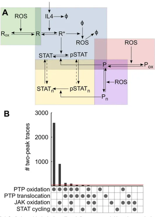 Fig 3. Qualitative model selection from a library indicates to more probable regulatory mechanisms.