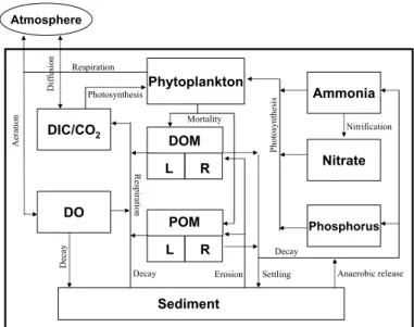 Fig. 2. Flow diagram showing key pools and flux of carbon, nitrogen, and phosphorus simu- simu-lation in the lake ecosystem