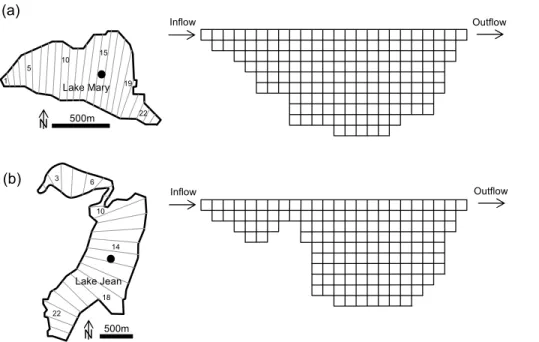 Fig. 3. Map of the study lakes and the grid arrangement with model segment identification numbers for Lake Mary (a) and Lake Jean (b)