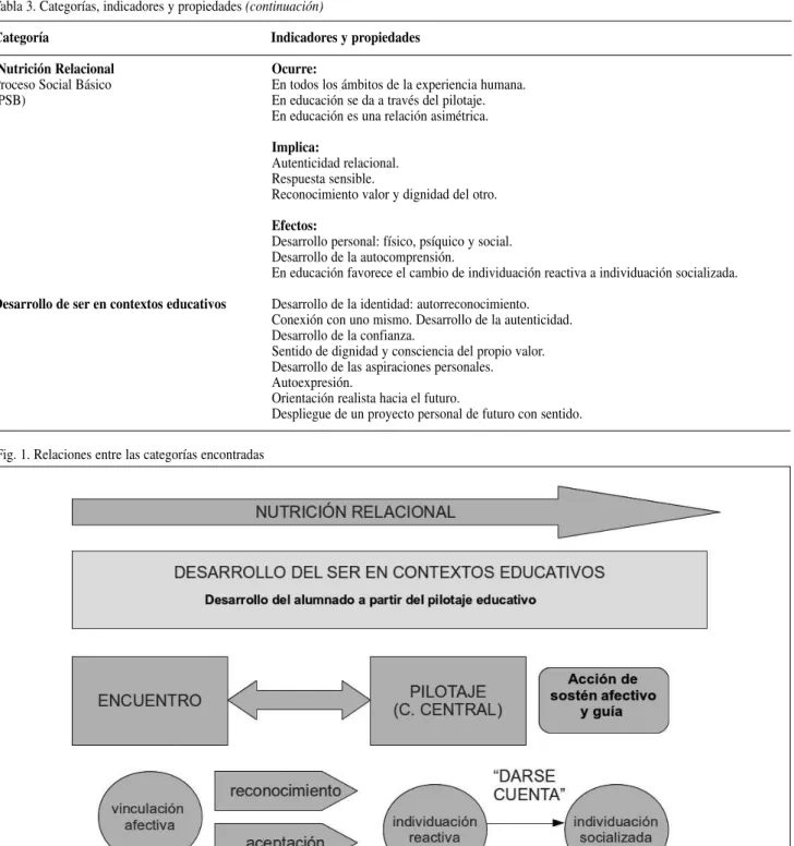 Fig. 1. Relaciones entre las categorías encontradas