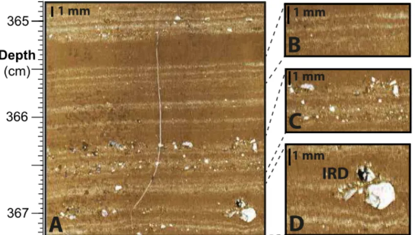 Fig. 3. Detailed images of a scanned thin section of PS1795. A gives an overview of the varved sediment and the thickness variation of silty (light-coloured) and clayey (brown-coloured) layers.