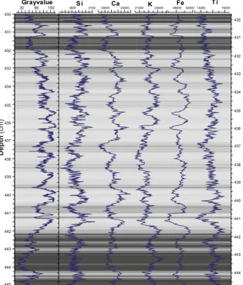 Fig. 5. Seasonal-scale changes in chemical element composition: high-resolution X-ray flu- flu-orescence scanner data (area counts) every 0.2 mm of PS1795 core section (430–445 cm).