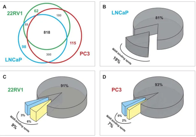 Figure 2. Analysis of the differentially expressed NM proteins in LNCaP, 22Rv1 and PC3 cells