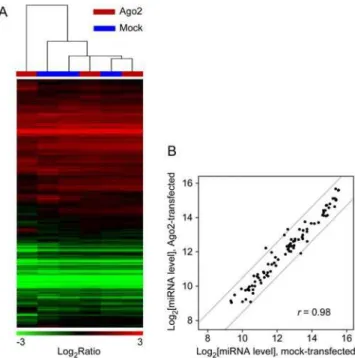 Figure 2. Overexpression of FLAG-Ago2 does not perturb overall mRNA expression or miRNA expression