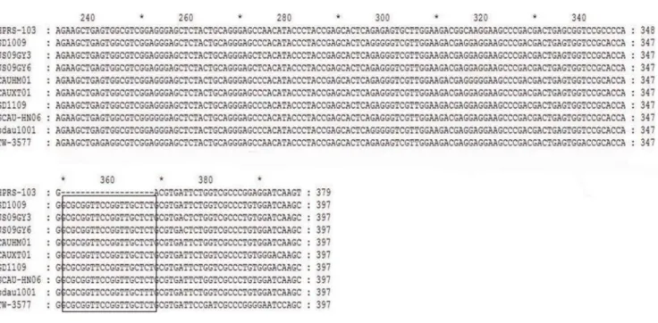 Figure 3. The identification of the rescued viruses by IFA and electron microscopy. (A) The DF-1 cells infected with rSD1009 using IFA mediated by monoclonal antibodies specific for ALV-J gp85 produced ALV-J-specific green fluorescence