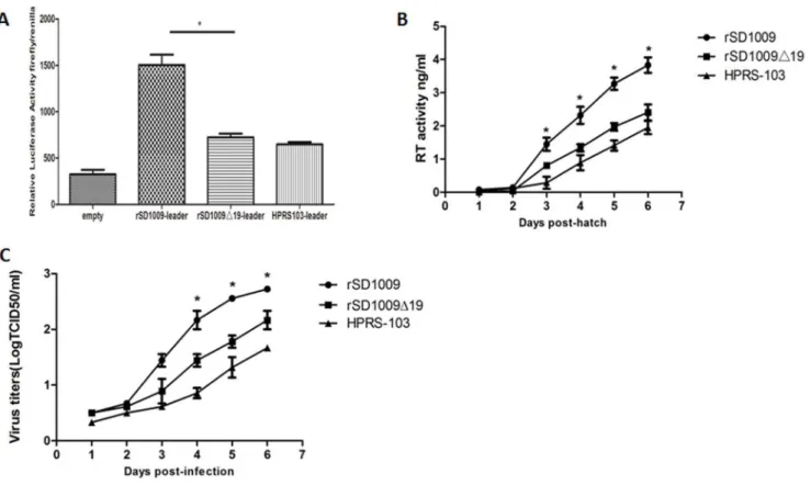 Figure 4. The 19-nt insertion in the leader sequence enhanced activity of the leader sequence and viral replication in DF-1 cells