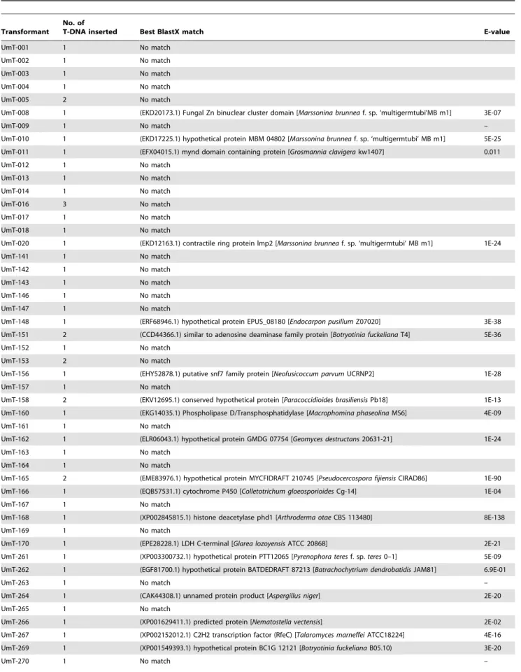 Table 1. Results from BlastX searches of the NCBI database with U. muehlenbergii genomic sequences flanking inserted T-DNA as queries.