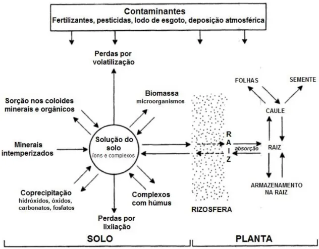 Figura 4. Dinâmica de metais e outros contaminantes em solos. (Adaptado de Alloway,  1995) 