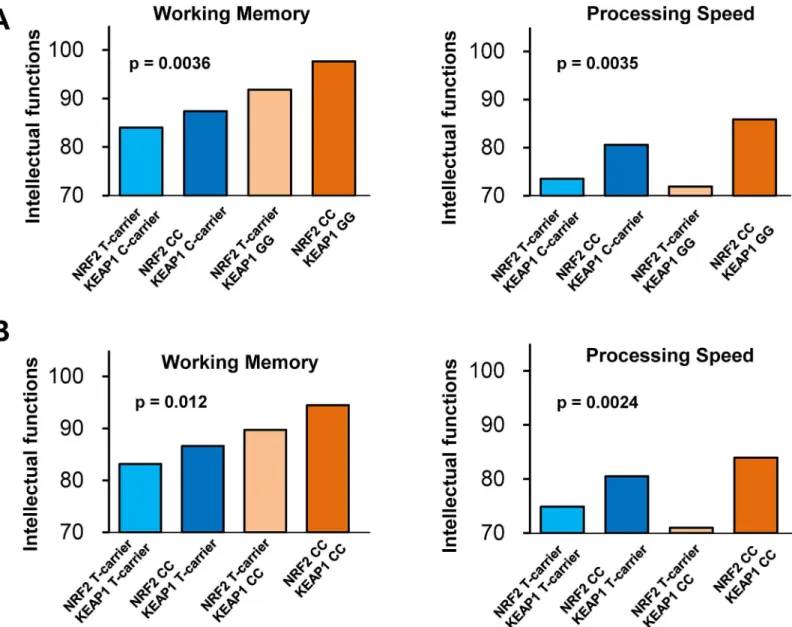 Fig 6. Interaction between NRF2 gene variant and KEAP1 gene variants on intellectual ability in patients with schizophrenia