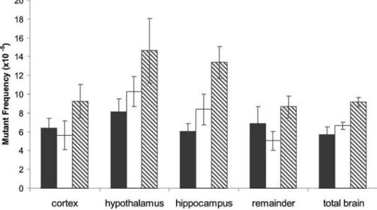 Figure 3. Frequency of lacZ point mutants or genome rearrange- rearrange-ments in hypothalamus, hippocampus or total brain of 19-month and 30-month old mice