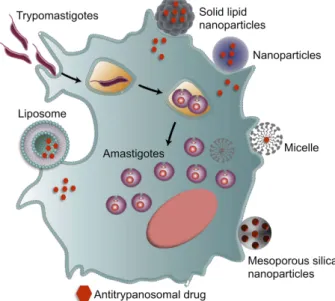 Figure 1 Nanomaterials used against Chagas disease. Strategies and application of nanocarrier-based drug delivery systems, such as liposomes, micelles, mesoporous silica nanoparticles, polymeric and non-polymeric nanoparticles to optimize the delivery of a