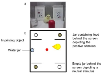 Figure 2. The experimental apparatus. An illustration of the apparatus used in all of the experiments.
