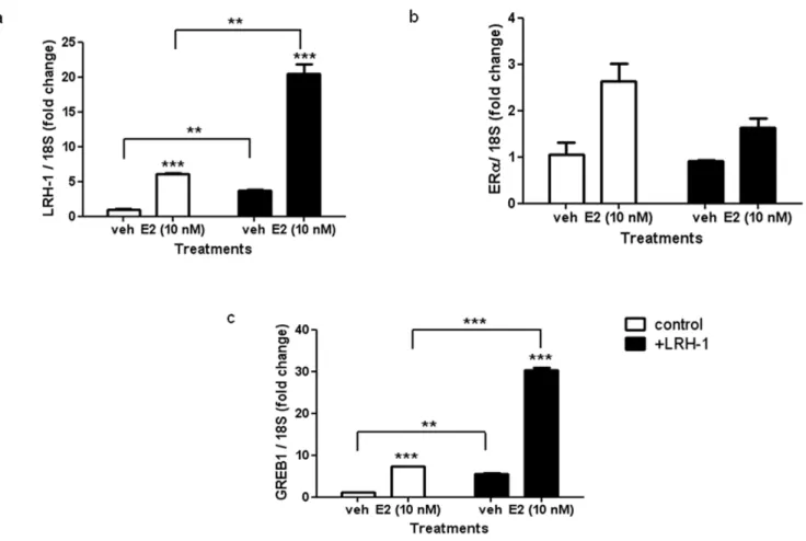 Figure 7. LRH-1 regulation of GREB1 expression in ER negative breast cancer cells. MDA-MB-231 cells were transfected with empty vector (C) or expression vectors for LRH-1 alone (L), ERa alone (E) or both LRH-1 and ERa (L+E)