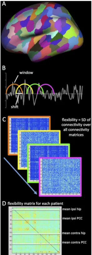 Fig 1. Schematic depiction of the analysis. The first step included parcellating the cortical surface into 219 parcels (A) and coregistering the rs-fMRI and t-fMRI to the anatomical scan