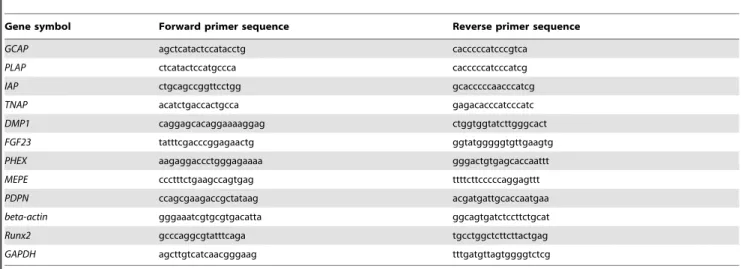 Table 1. Primers used for RT-PCR.