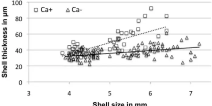 Figure  5.    Linear  regressions  analysis  using  shell thickness and shell size in adult Notodiscus hookeri