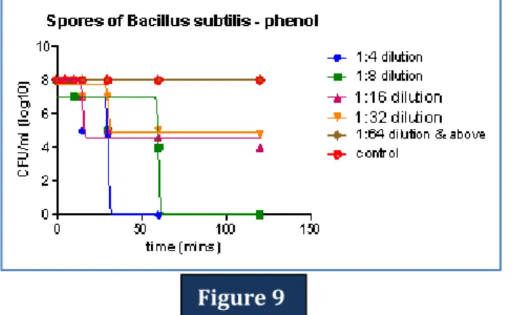 Figure  9:  Time-kill  curve:  The  curve  shows  mean  viable  colony  counts  i.e.  number  of  viable  Bacillus  subtilis  spores  that  have  germinated  (n=5),  plotted  against  time  interval  for  different  dilutions of phenol taken in this study