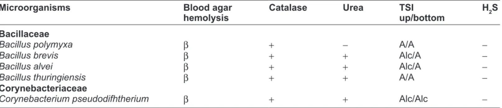 Table 2. Biochemical identification of species belonging to the bacillaceae and Corynebacteriaceae families isolated from  corroded metallic structures in coaracy nunes hydroeletric Power Unit, Amapa state.