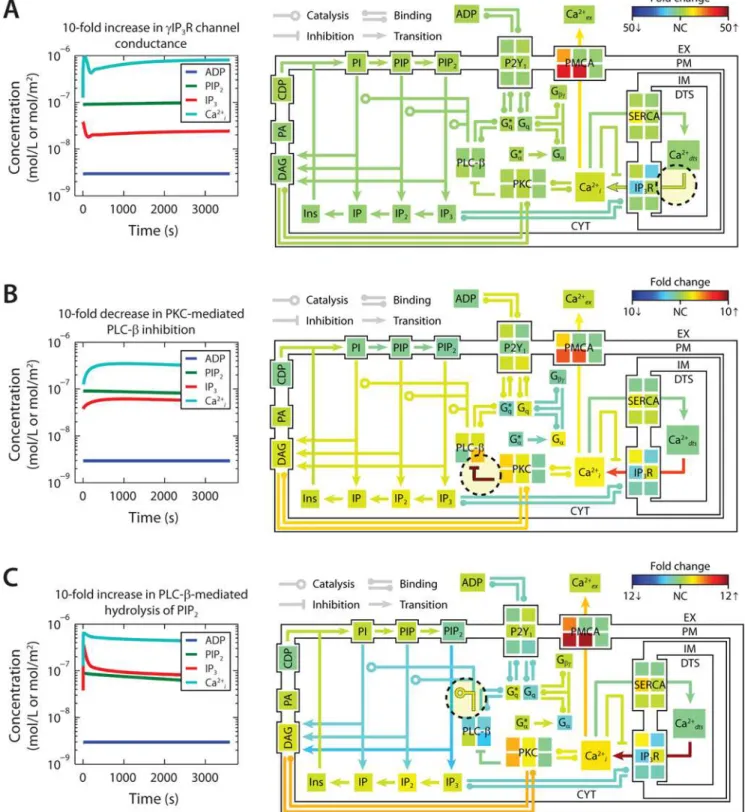 Figure 4. Shifts in steady-state profiles caused by kinetic perturbations. The steady-state platelet model was perturbed by changing selected kinetic parameters ( 6 10-fold) and simulating for 1 h (left panels)