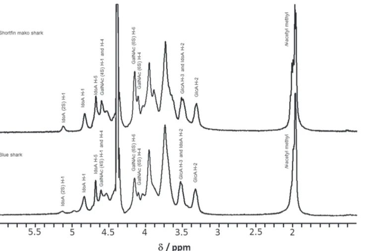 Fig 5. One-dimensional 1 H-NMR spectra of CS/DS from shortfin mako shark (Fr. 5) and blue shark (Fr