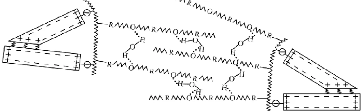 Figure 4.3 . - Model of the formation of hydrogen bonds in the clay system, plasticized  with superplasticizers on the basis of polycarboxylates 