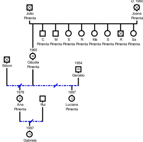 Figura 12: Genograma da Família Pimenta 