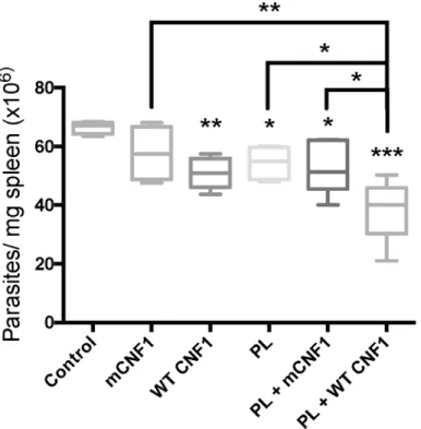 Fig 5. CNF1 activity confers curative immunoadjuvant properties. BALB/c mice were first infected with 3x10 6 of stationary phase parasites
