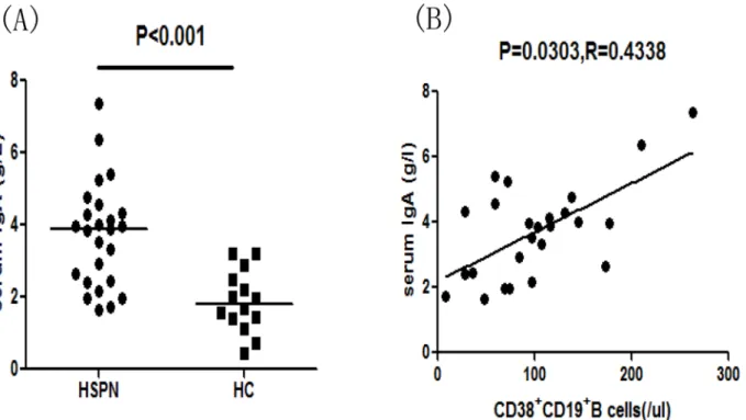 Fig 6. Correlation between the number of CD38 + CD19 + B cells and the serum IgA concentration in HSPN patients