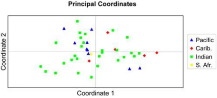 Figure 2. Principle Component Analysis (PCA) of individual whale shark multilocus genotypes performed using GenAlEx 6.1