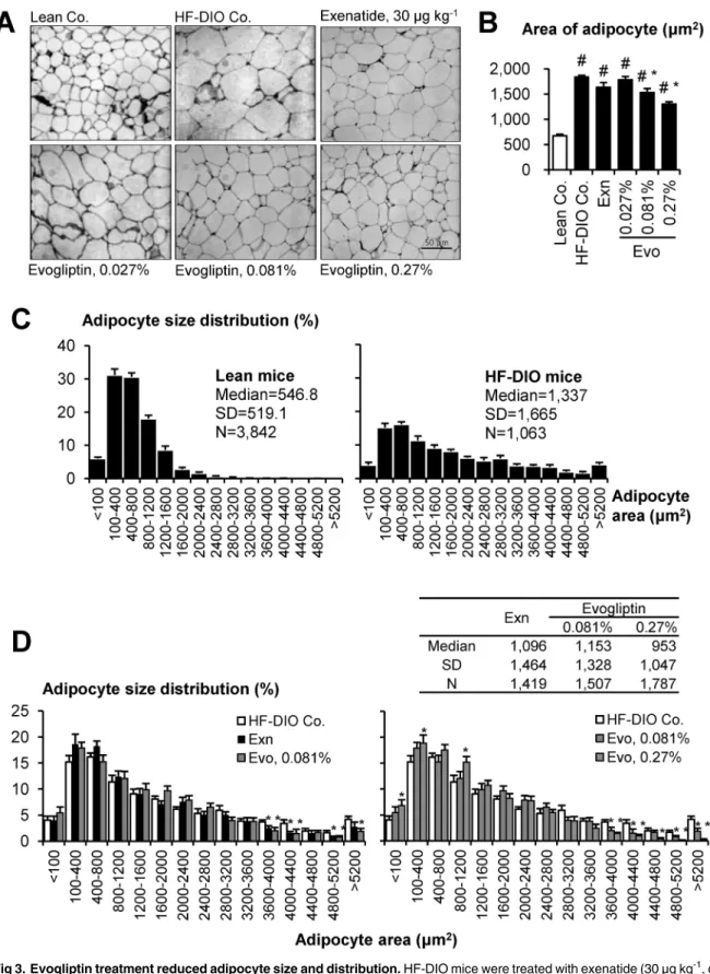 Fig 3. Evogliptin treatment reduced adipocyte size and distribution. HF-DIO mice were treated with exenatide (30 μg kg -1 , once daily, s.c.) or evogliptin at 0.027%, 0.081%, or 0.27% (w/w) for 2 weeks