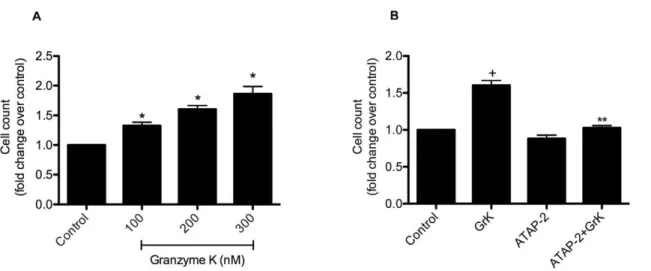 Figure 7. GrK induces cell proliferation in HFLs in a dose-dependent manner. (A) Cells were incubated with 100 and 200 nM of GrK for 48 h then trypsinized and counted using a hemocytometer to determine cell number