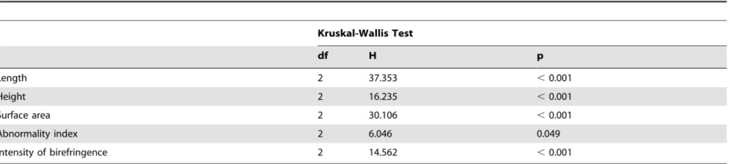 Figure 3. Shell abnormalities. Different intensities of shell abnormalities observed among samples