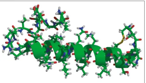 Abbildung 1: Calcitonin vom Lachs – Struktur (Reprint from Wikipedia)