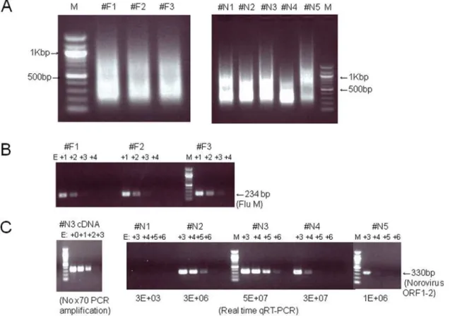 Figure 1. Random RT-PCR amplification of cDNA from clinical specimens and quantitative RT-PCR with virus-specific primers