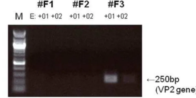 Table 3. Summary of gene analysis in fecal samples.