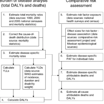 Figure 1. Steps of the Analysis