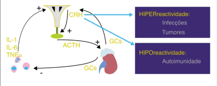 Figura 3. Influência do CRH nos sistemas neuroquímicos  reguladores do humor.