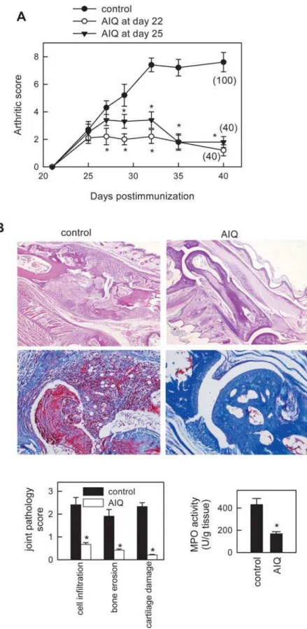 Figure 1. AIQ decreases CIA severity. DBA1 mice with established CIA were injected i.p