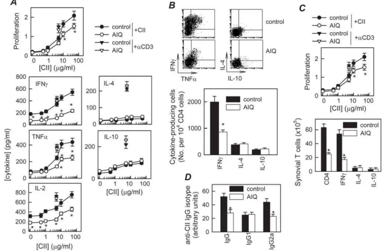 Figure 3. Inhibition of PARP-1 downregulates Th1-mediated response in CIA. DBA1 mice with established CIA were injected i.p