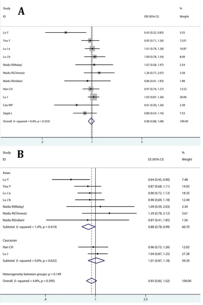 Figure 2. Correlation between the PIN1 2 667T . C polymorphism and cancer risk. A: heterozygote comparison (TC vs