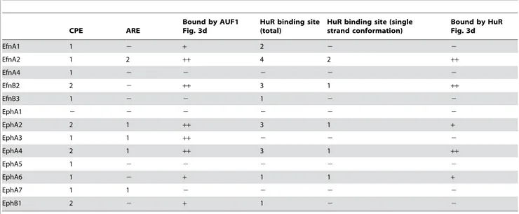 Table 2. Motifs in biotinylated probes used for RNA-protein pulldown assay and binding patterns of AUF1 (p42/p45) and HuR.
