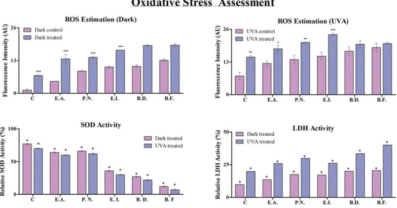 Fig 3. Oxidative stress analysis: Reactive oxygen species (ROS), relative SOD activity (%) and relative LDH activity at 1 μg/ml of TiO 2 -NPs treated cells under dark and UVA condition with respect to control is shown