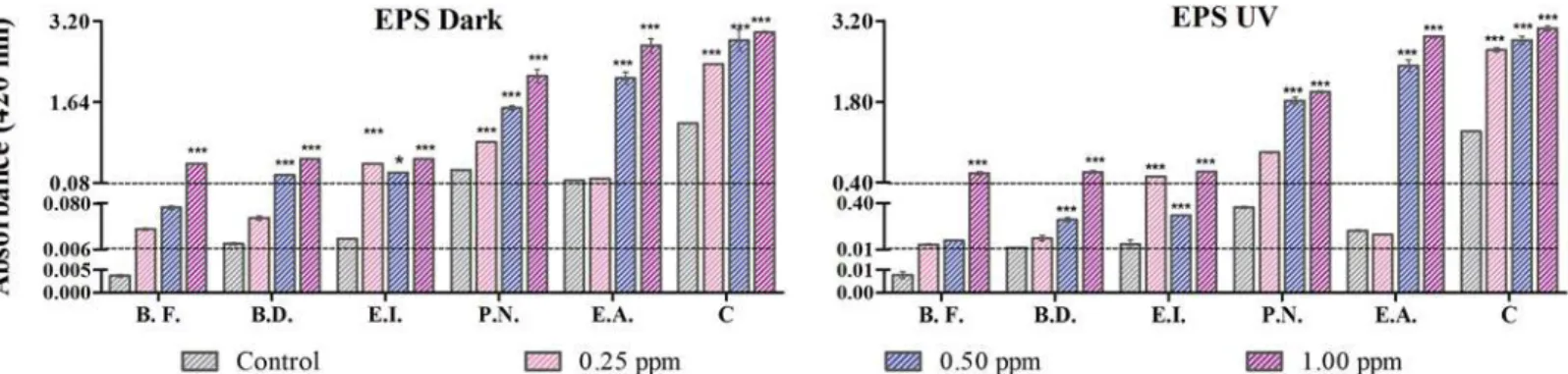 Fig 5. Estimation of EPS release under UVA and dark condition: EPS release at 0.25, 0.5 and 1 μg/ml of TiO 2 -NPs concentration is depicted